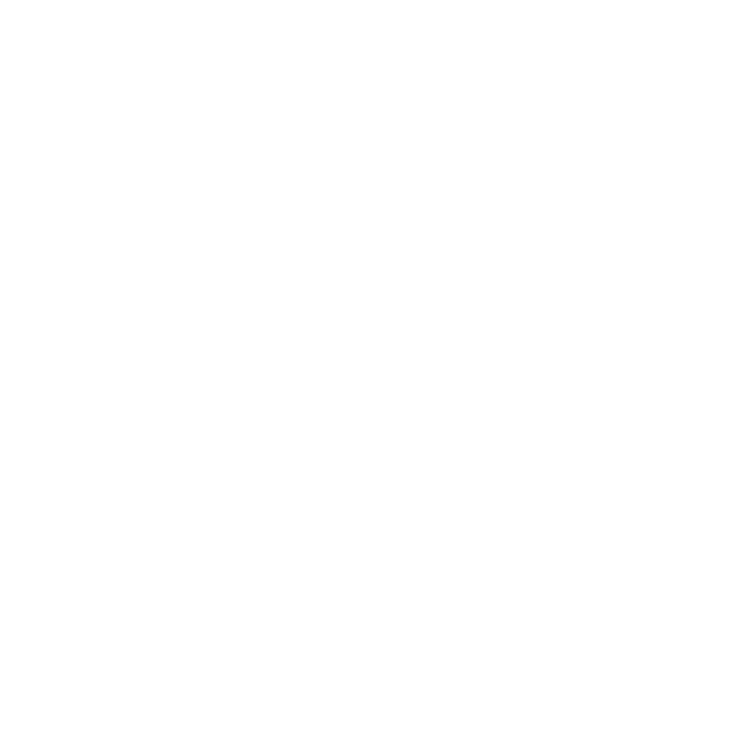 feature-item-1